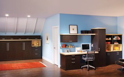 Custom Home Office Ideas and Design Tips